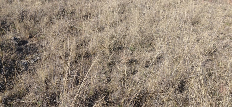 Commercial Property for Sale in Reivilo Northern Cape